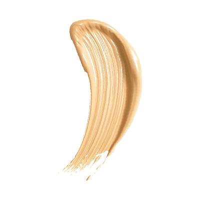 Matt Look High Coverage Waterproof Oil Free Matte Foundation SPF 25, Ivory 45 gm - Foundation