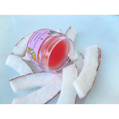 The Hade Apricot and Coconut Lip Balm 15 gm - Lip Balms