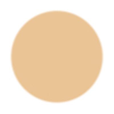 Pac Spotlight Liquid Concealer 02 Skin 15gm - Concealer