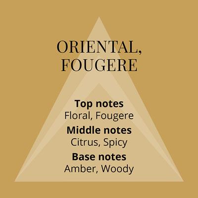 Colour Me Homme Gold Eau De Parfum 90 ml - Men Perfumes (Edt/Edp)