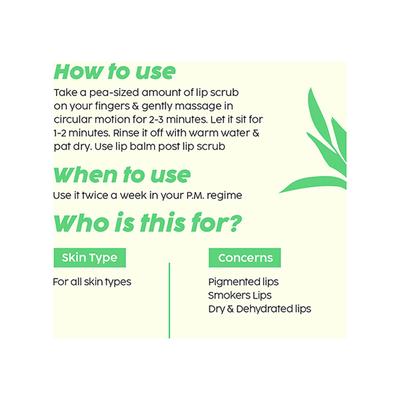 Plix The Plant Fix Chapped Lips 15gm - Lip Scrubs