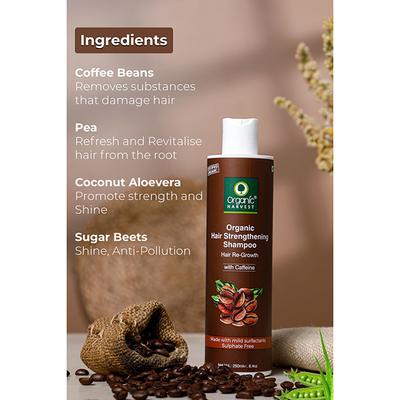 Organic Harvest Everyday Shampoo Coffee & Walnuts Gentle Care For Everyday Cleansing 250ml - Shampoos