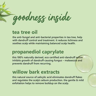 Plum Tea Tree Anti-Dandruff Shampoo 300 ml - Shampoos