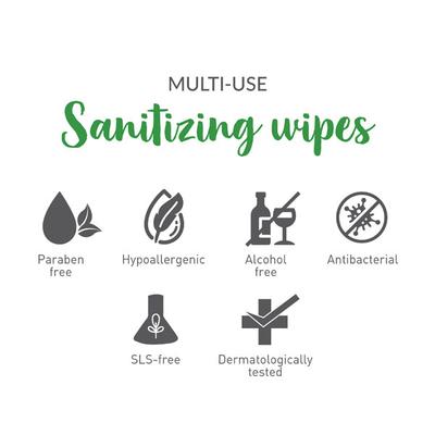 BodyGuard Multi-Use Sanitizing Wipes 30's - Others