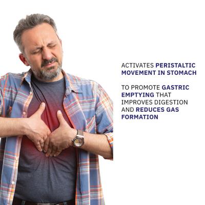 Phytocid GT Capsule 10'S - Digestive Care