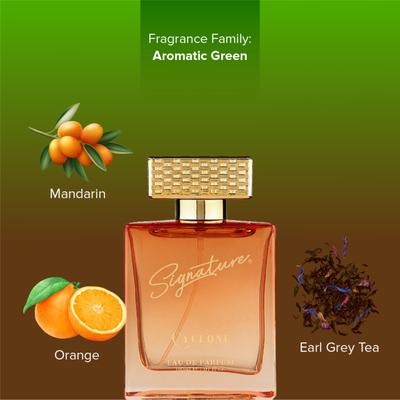 Signature Eau De Parfum Spray - Cyclone 100 ml - Perfumes (Edt/Edp)