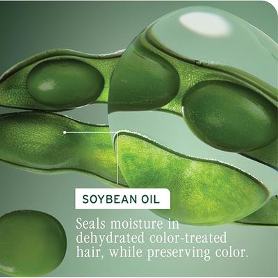 BIOLAGE Colorlast Shampoo 400 ml - Shampoos