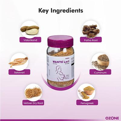Ozone Wanto Lact Lactation Supplement For Increasing Breast Milk Supply(Elaichi Flavor) 200 gm - Nutritional Supplements