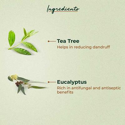 Organic Harvest Anti Dandruff Hair Oil Apple & Tea Tree 150 ml - Hair Oils