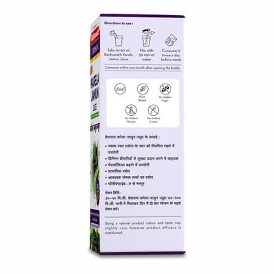 Baidyanath Karela Jamun Juice 1000 ml - Ayurvedic Juices