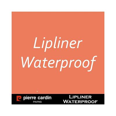 Pierre Cardin ParisLipliner Pencil Waterproof 395 Plummy 0.4 gm - Lip Liners