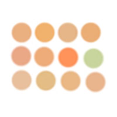 PAC Super Coverage Cream Concealer X12 7.5 gm - Concealer