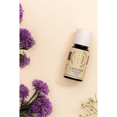 House of Aroma Lavender Fragrance Oil 10 ml - Face Oils