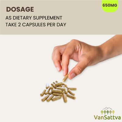 Vansattva Vidanga Capsule 60's - Speciality Medicines
