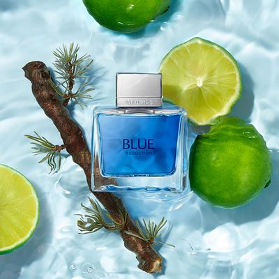 Banderas Blue Seduction Eau de Toilette 100 ml - Men Perfumes (Edt/Edp)