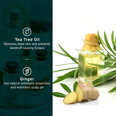 Ustraa Anti Dandruff Shampoo - Ginger & Tea Tree 250 ml - Shampoos