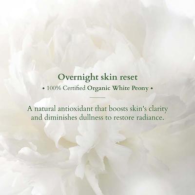 Lotus Organics Precious Brightening Night Creme 30 gm - Night Cream