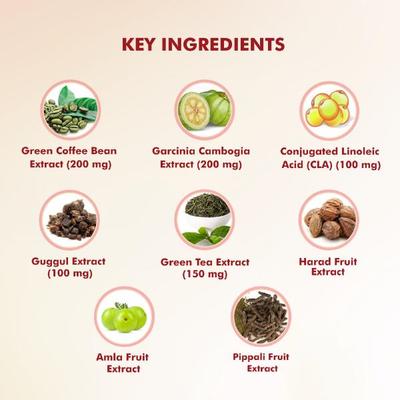 Dr. Morepen Fat Burner Tablet 60's - Weight Loss