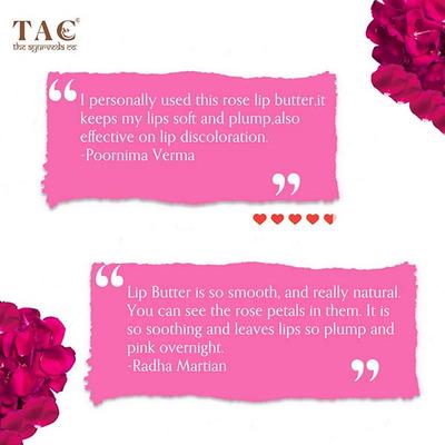 TAC The Ayurveda Co. Rose Lip Butter 5 gm - Personal Care (Ayush)