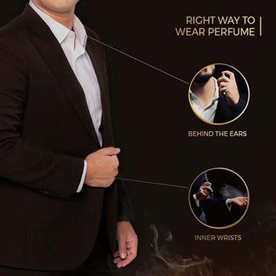 Wild Stone Cigar Eau De Parfum for Men 100 ml - Men Perfumes (Edt/Edp)