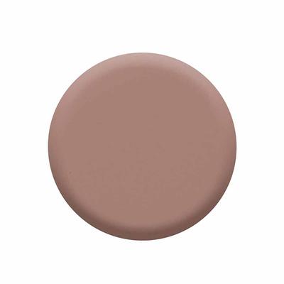 Colorbar Lux Nail Lacquer Cbn1173 12 Ml - Nail Polish