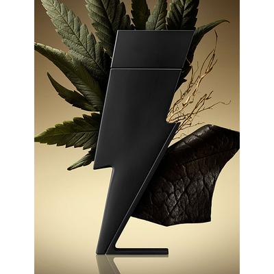 Carolina Herrera Bad Boy Eau de Parfum 100 ml - Women Perfumes (Edt/Edp)