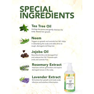 Clovia Botaniqa Anti Hair Fall Shampoo 300 ml - Shampoos