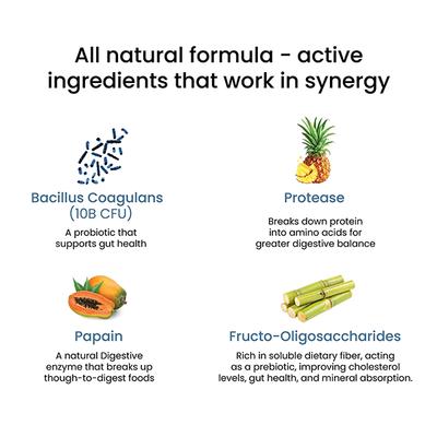 Wellbeing Nutrition Melts Healthy Gut Probiotic 10B CFU, Digestive Enzymes and FOS For Indigestion, Gas, Acidity 30 Strips - Digestive Health
