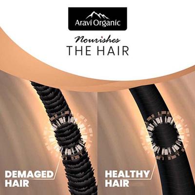 Aravi Organic 100% Pure Onion Hair Growth Carrier Hair Oil 200 ml - Hair Oils