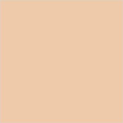 Colorbar 24Hrs Weightless Foundation Powder Pf005 9.5 Gm - Foundation