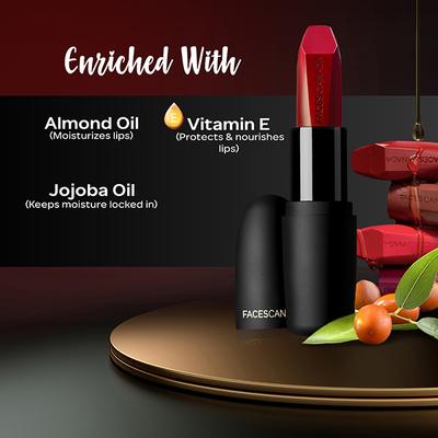 Faces Canada Weightless Matte Lipstick - Forsake Beauty 01 (Brown), 4.5gm - Lipsticks