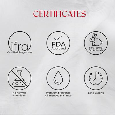 Nisara Game Changer Perfume Long Lasting Fragrance Ambery Woody Fruity Eau De Parfum For Men 100 ml - Men Perfumes (Edt/Edp)