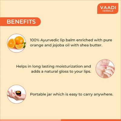 Vaadi Herbals Lip Balm - Orange & Shea Butter 10 gm - Lip Balms