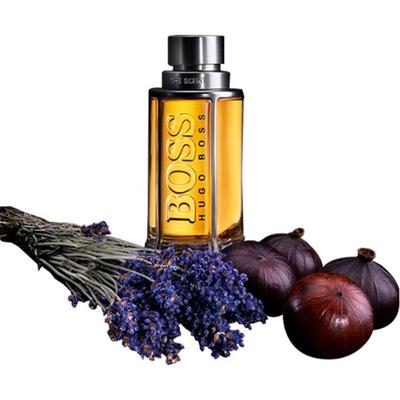 Hugo Boss The Scent Eau De Toilette 50 ml - Perfumes (Edt/Edp)