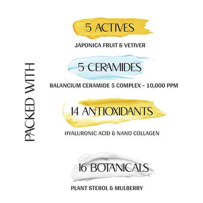 Mintree Certified Organic Sun-Stoppable Sunscreen SPF 50 PA++++, for Sun Tan and Blue Light 30 ml - Body Sunscreen