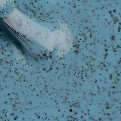 Colorbar Pepper Blues - (1306) 12 ml - Nail Polish