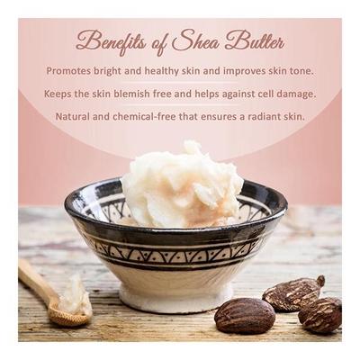 Nyassa Mixed Candy Lip Balm 5 gm - Lip Balms