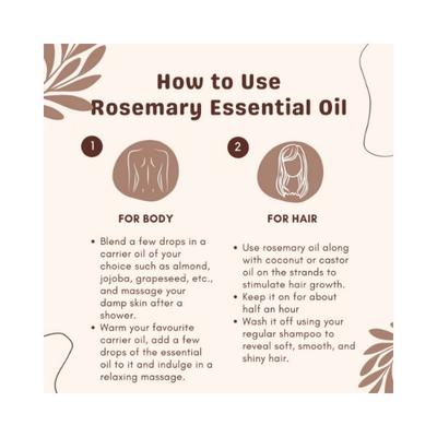 Essentia Extracts Rosemary Essential Oil 15 ml - Essential Oils