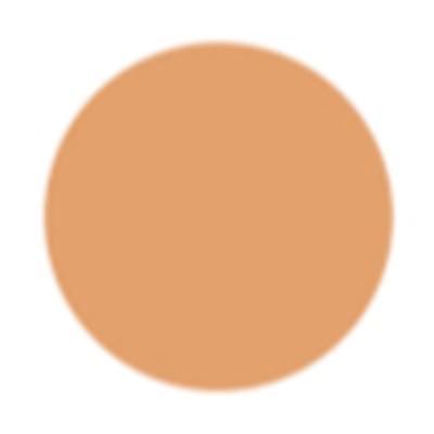 PAC HD Liquid Foundation Flawless Finish Buildable Coverge formula Lasts Upto 12 Hours Jdeal for Daily-Wear 3.3 30ml - Foundation
