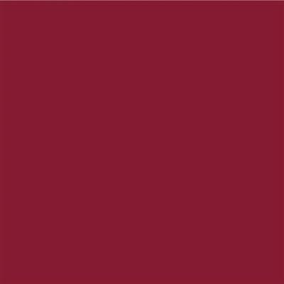 PAC Moody Matte Lipstick Comfortable 12H Wear Smudgeproof Transferproof Formula - Masquered (1.6 g) - Lipsticks