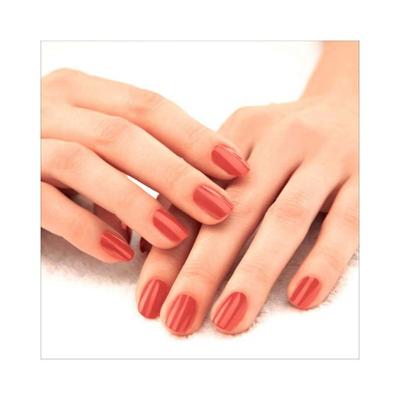 Lakme Absolute Gel Stylist Nail Color Coral Rush 12 ml - Nail Polish