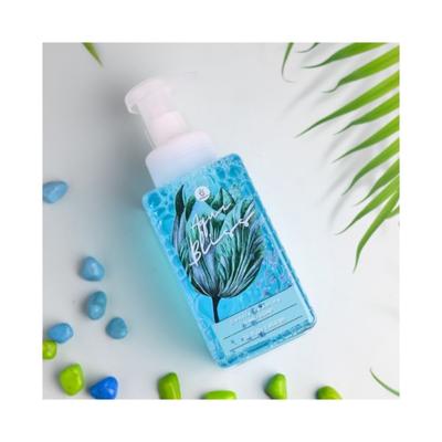 Bloomsberry Aqua Bliss Gentle Foaming Hand Soap 450 ml - Hand Wash & Soaps
