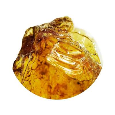 Davidoff Cool Water Eau De Toilette Spray 75 ml - Men Perfumes (Edt/Edp)