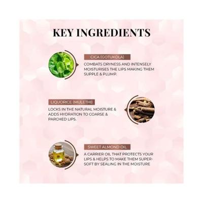 Just Herbs Ayurvedic Liquid Lipstick Kit Set of 3 with Long Lasting, Hydrating - Dusty Rose, Liquorice Brown & Raisin Rust 6ml - Liquid Lipsticks