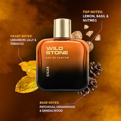 Wild Stone Cigar Eau De Parfum for Men 100 ml - Men Perfumes (Edt/Edp)