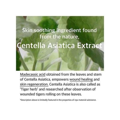 Mixsoon Soondy Centella Asiatica Essence 50 ml - Face Serum
