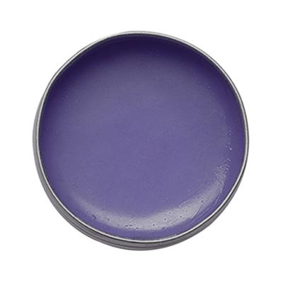 Alyuva Ghee Enriched Natural Blueberry Lip Balm, for all ages 7 gm - Lip Balms