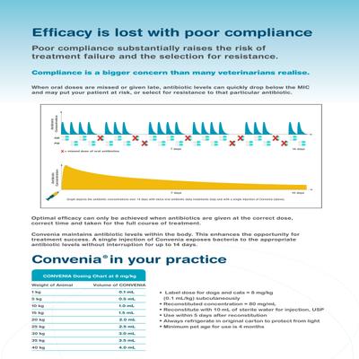 CONVENIA (VET) Injection 10ml - Veterinary-Pharma