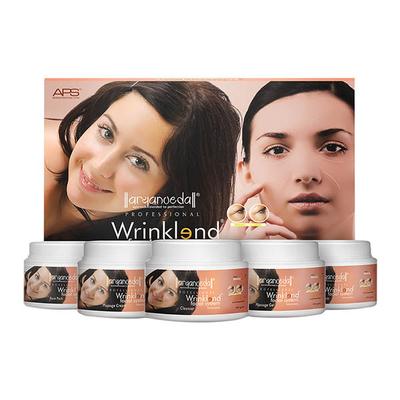 Aryanveda APS Wrinklend Facial Kit 510 gm - Skin-Treatment