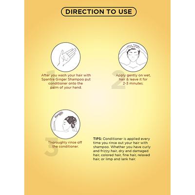 Spantra Ginger Conditioner 300 ml - Conditioners